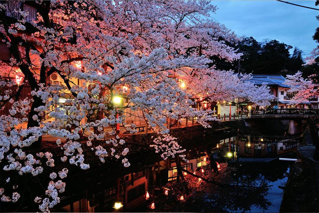 คิโนะซากิ อ็อนเซ็น โอยาโดะ เซริ Hotel โทโยคะ ภายนอก รูปภาพ